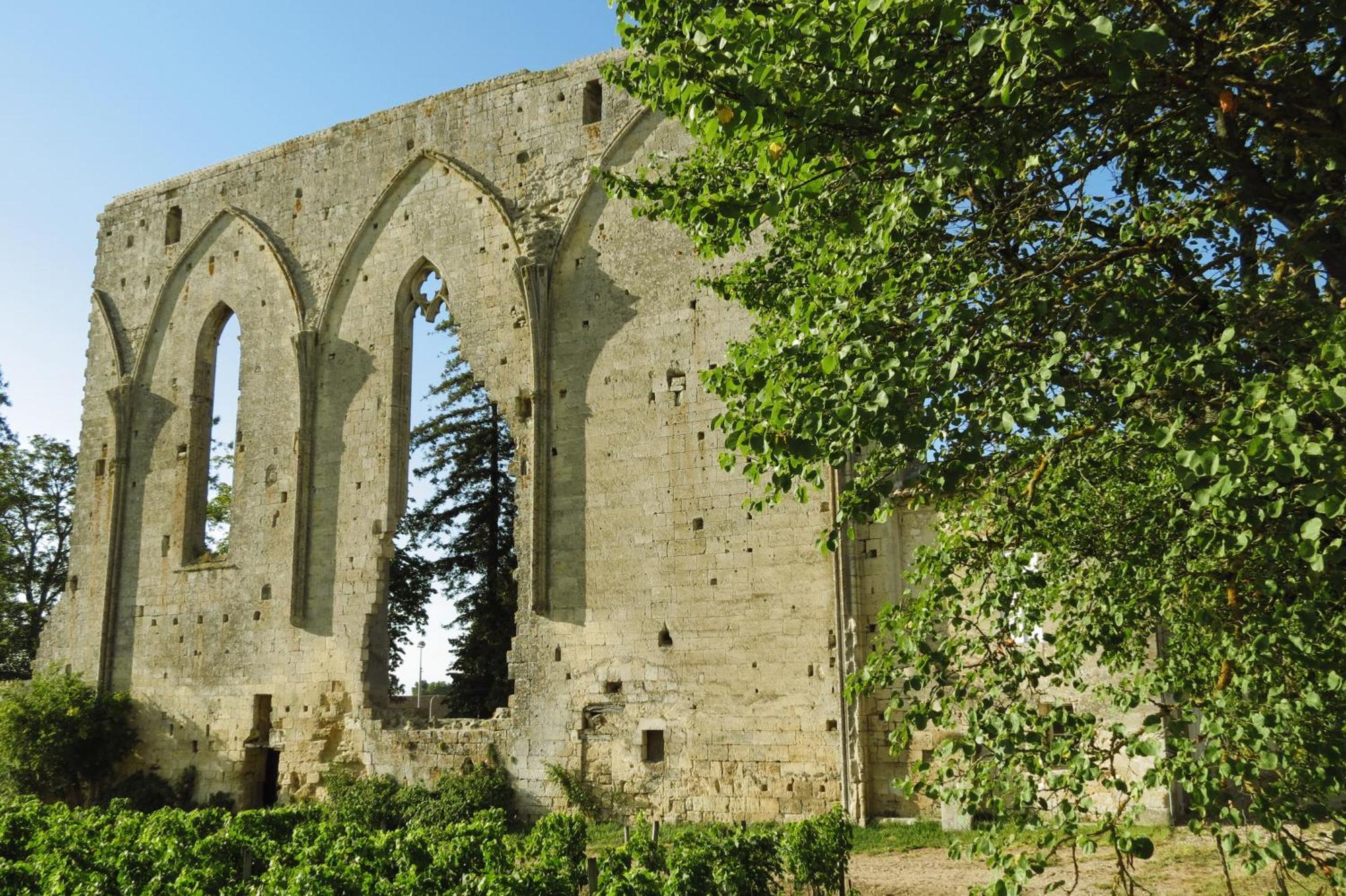 Bleu Raisin Panzió Les Salles-de-Castillon Kültér fotó