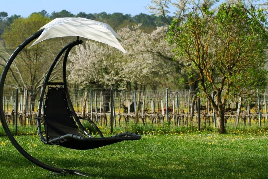 Bleu Raisin Panzió Les Salles-de-Castillon Kültér fotó