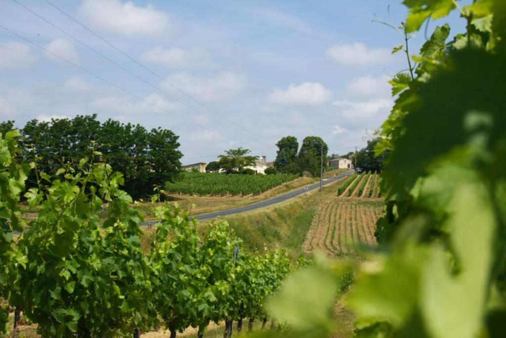 Bleu Raisin Panzió Les Salles-de-Castillon Kültér fotó